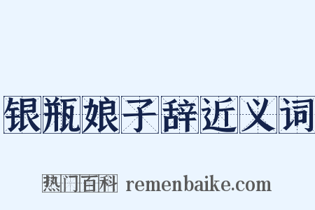 银瓶娘子辞近义词是什么意思的图片